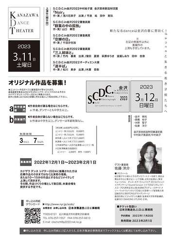 フライヤー（裏面）